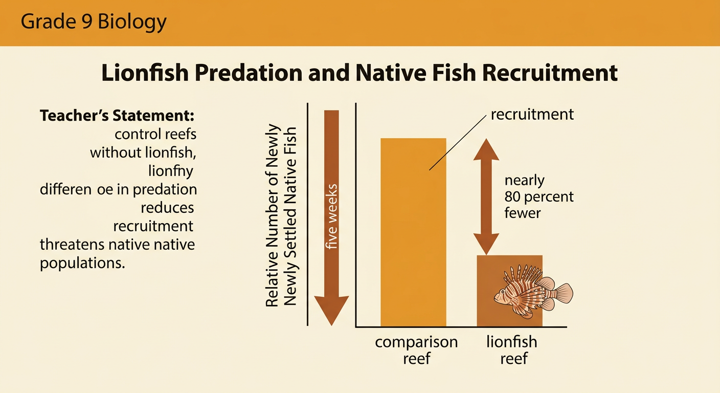 Two similar study reefs show many newly settled fish without lionfish and nearly 80 percent fewer with a lionfish after five weeks.