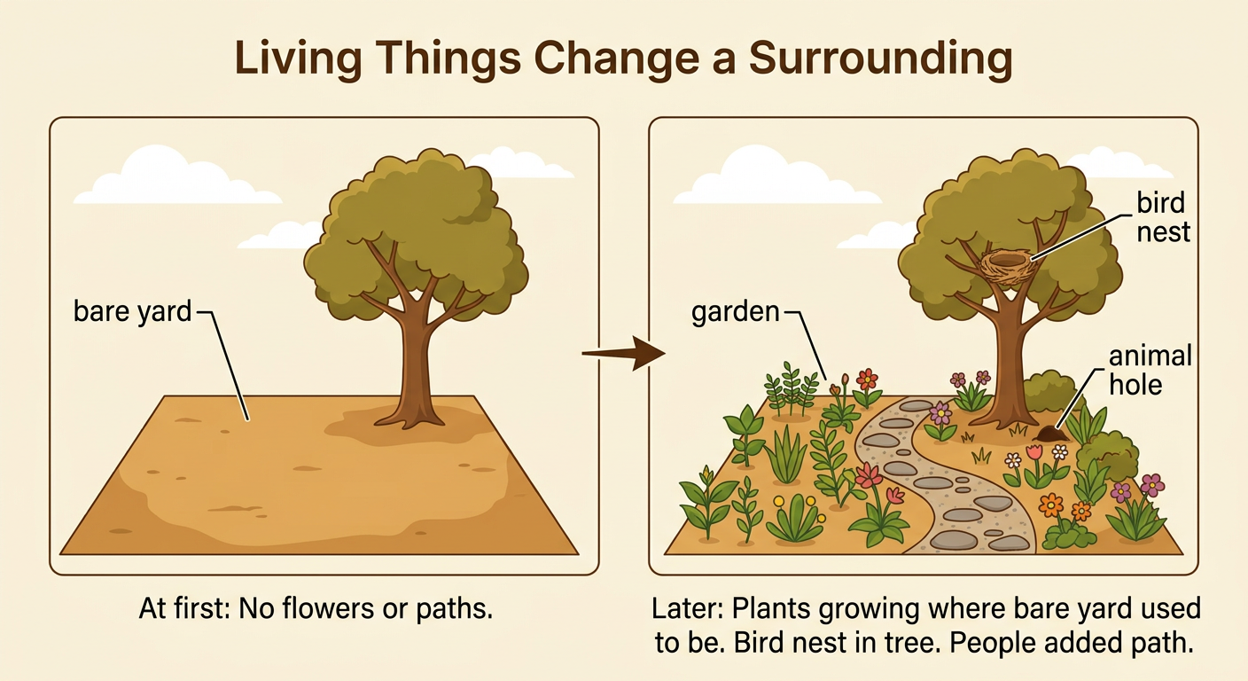 A before-and-after picture shows a bare yard becoming a garden with a bird nest and a path.