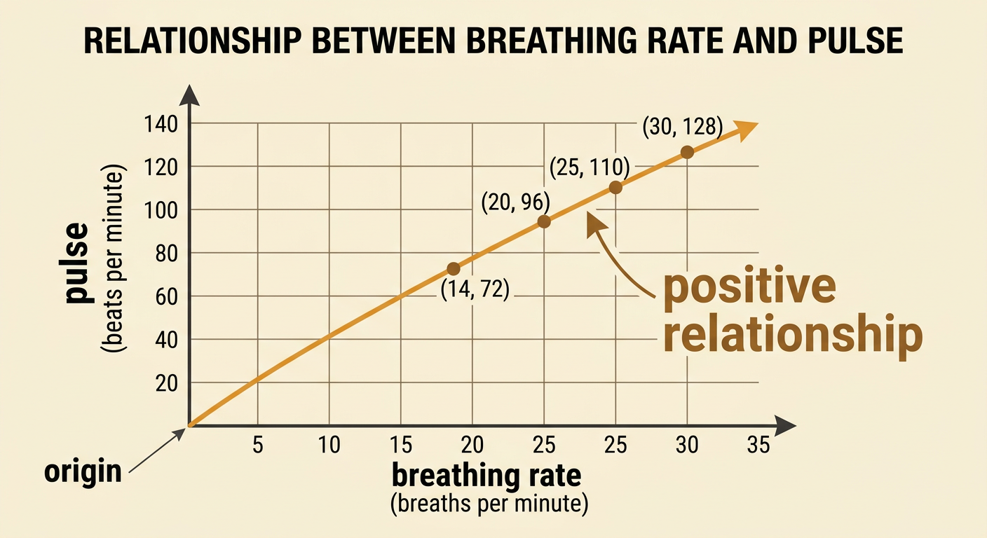 A scatterplot shows pulse increasing as breathing rate increases without forming a proportional relationship.