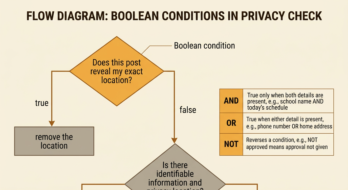 A branching privacy diagram shows one Boolean question splitting into true and false paths, with logical operators displayed beside example conditions.